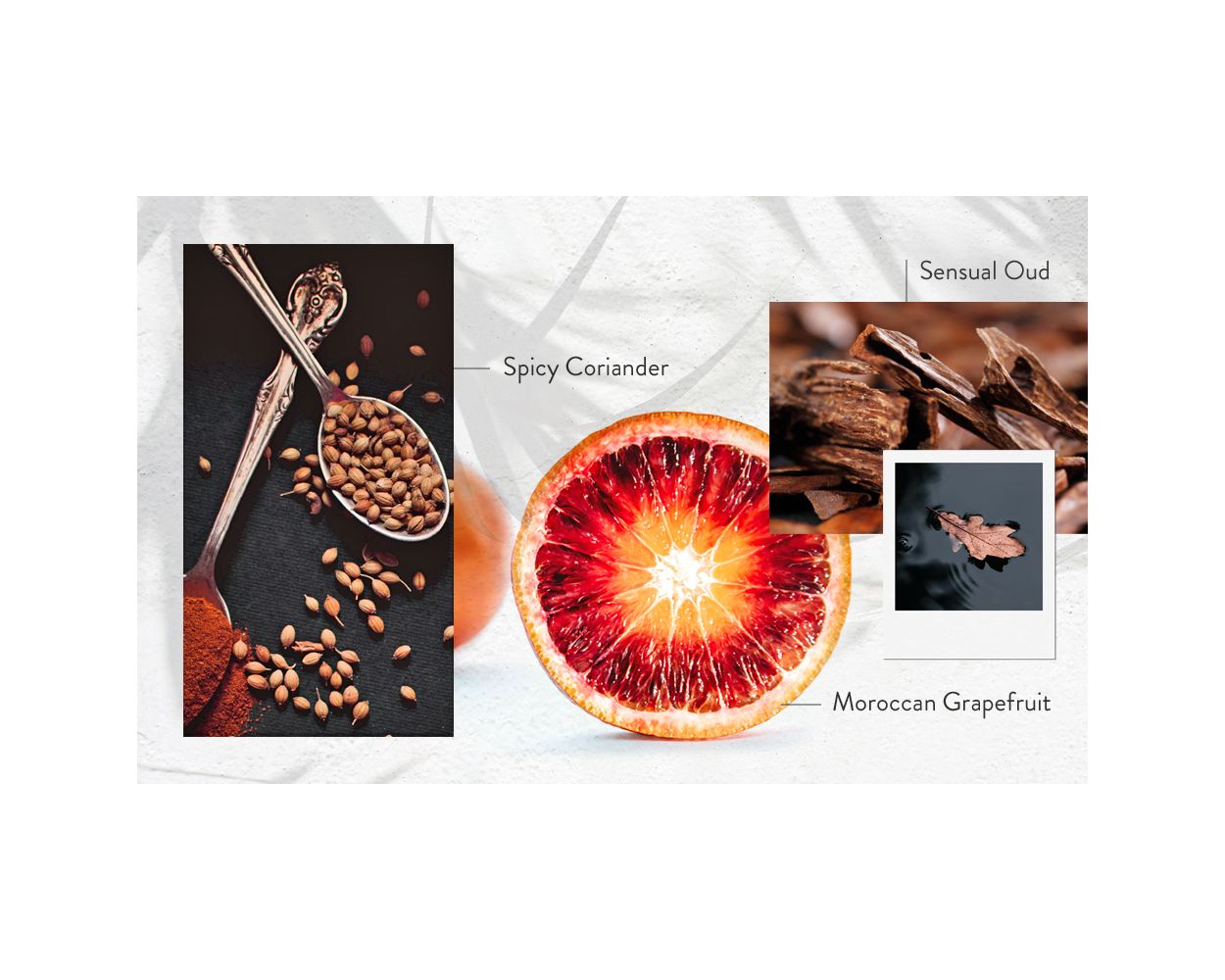 Gilchrist & Soames | Exfoliating Pepper Soap | Guild + Pepper