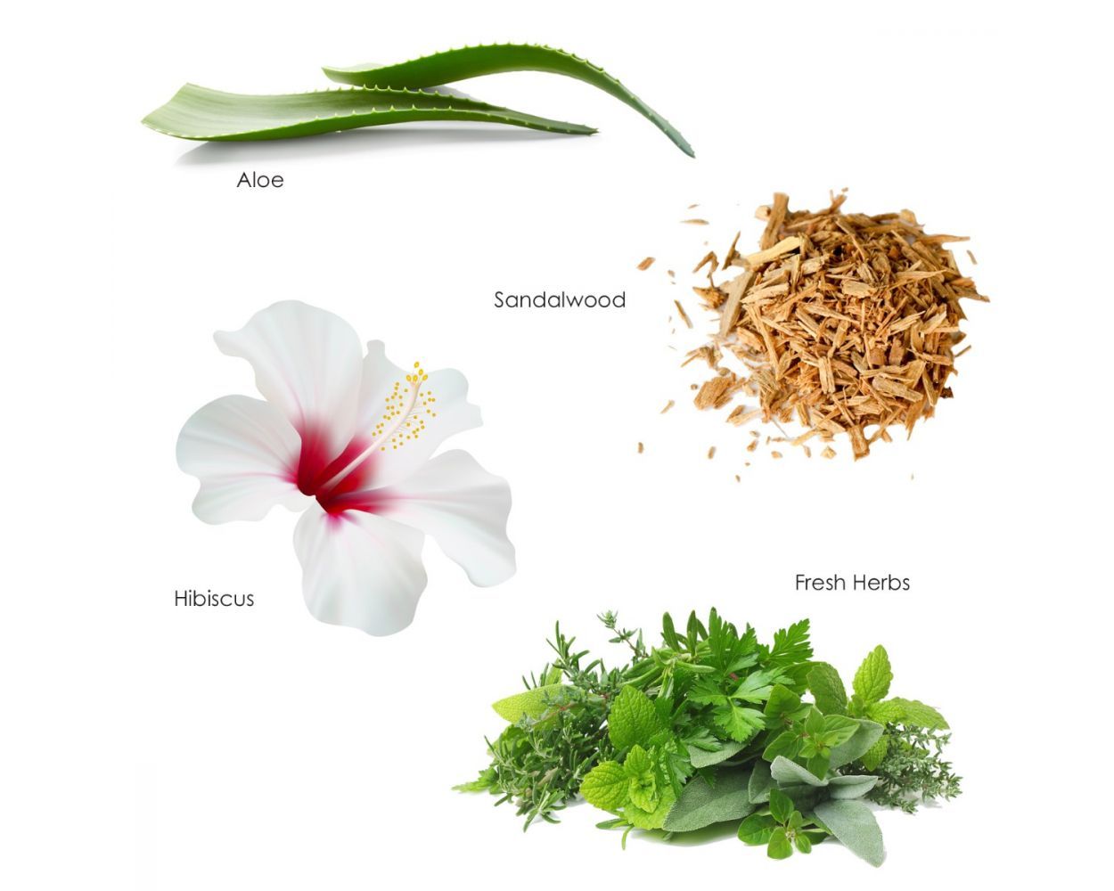 Gilchrist & Soames | Zero% Hand Wash, 15.5oz