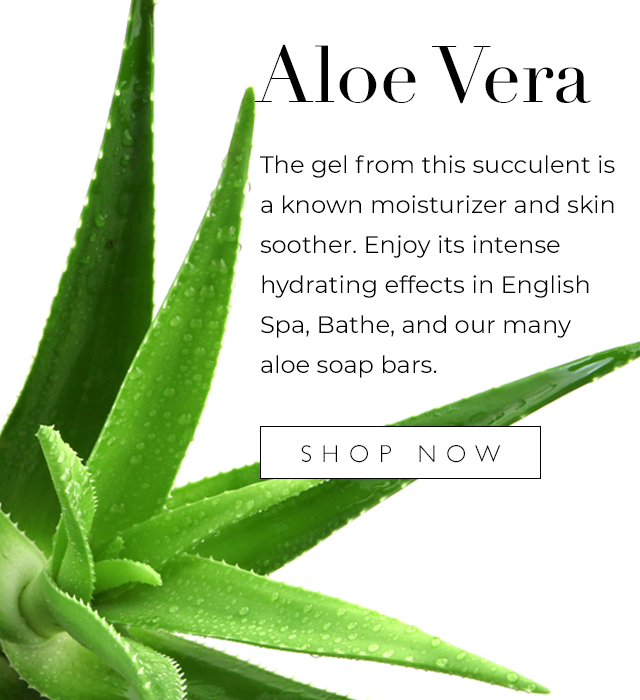 Aloe Vera is a known moisturizer and skin soother. Enjoy in our aloe bar soap. 