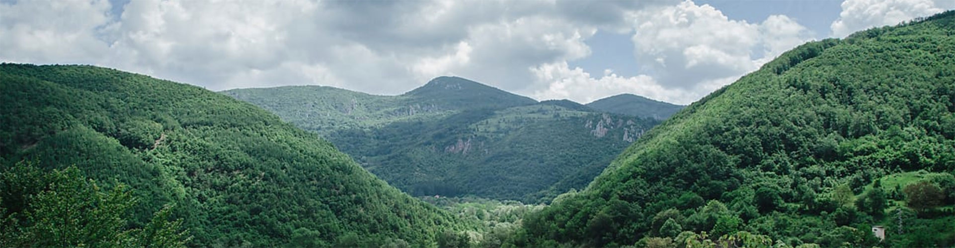 image of rolling fog-covered mountains